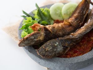 Konsumsi Ikan Lele yang Diberi Pakan Kotoran dan Bangkai, Halal atau Haram?