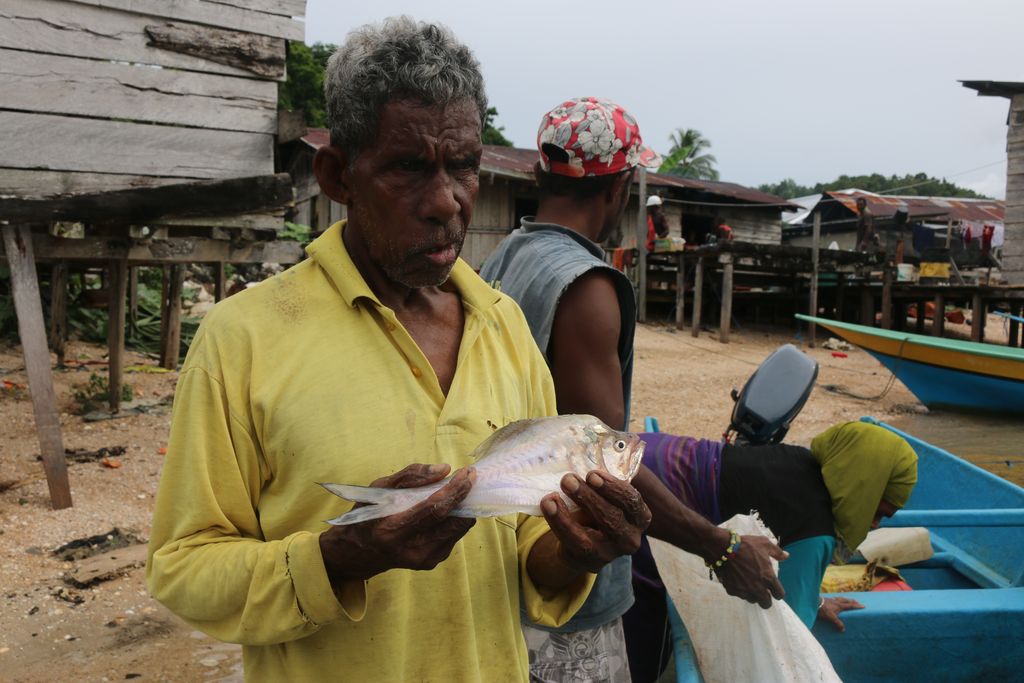 Ikan kaca hasil tangkapan nelayan di Telaga Wawiyer, Fakfak