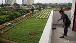Kampung Susun Cakung Siap Dihuni Oleh Warga Gusuran Bukit Duri