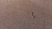 Lanjut ada foto drone yang memperlihatkan hamparan sawah yang kering di Neijiang, Provinsi Sichuan, China. Kekeringan ini terjadi pada 24 Agustus 2022 lalu.