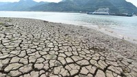 Dari kawasan Chongqing tepatnya di aliran Sungai Yangtze terlihat beberapa ruas tanah mengering imbas kekeringan parah yang terjadi belum lama ini pada 16 Agustus 2022.  