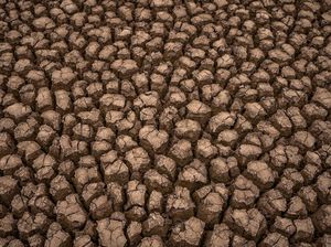 Muncul Retakan Tanah Mirip di Afrika, Apakah Kalimantan akan Menjadi Gurun?