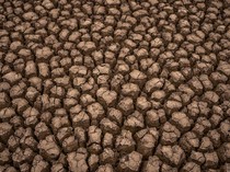 Muncul Retakan Tanah Mirip di Afrika, Apakah Kalimantan akan Menjadi Gurun?
