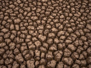 Muncul Retakan Tanah Mirip di Afrika, Apakah Kalimantan akan Menjadi Gurun?
