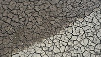 Lanskap tanah kering dan lembut terlihat dari kawasan Nicasio, California, pada 23 April 2021 lalu. Kekeringan idiakibatkan perubahan iklim yang terjadi bahkan hingga saat ini.