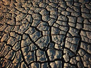 Pakar IPB Jelaskan Fenomena Tanah Kalimantan Retak Seperti di Afrika