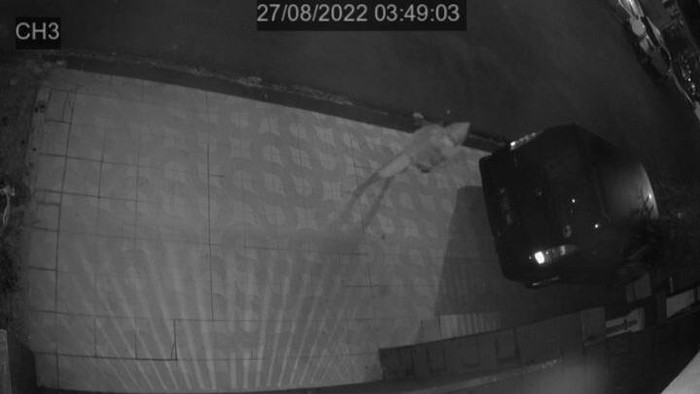 Maling di Sawangan Depok terekam CCTV