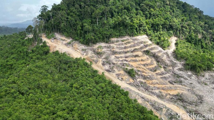 Melihat Proyek Calon PLTA Terbesar di Asia Tenggara Pembangunan proyek Pembangkit Listrik Tenaga Air (PLTA) Kayan memasuki tahap pembangunan jalan. PLTA ini akan jadi pembangkit terbesar se-Asia Tenggara.