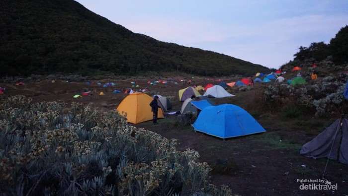Pagi hari di camping ground Surya Kencana