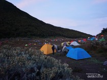 Ini Tempat Keramat yang Didatangi 16 Peziarah Hilang di Gunung Pangrango