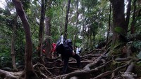 Beginilah gambaran treknya walaupun cukup berat asal konsisten kita pasti bisa melewatinya
