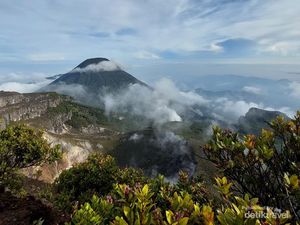 Mendaki Gunung Gede via Putri, Trek Cukup Berat tapi Puas Banget