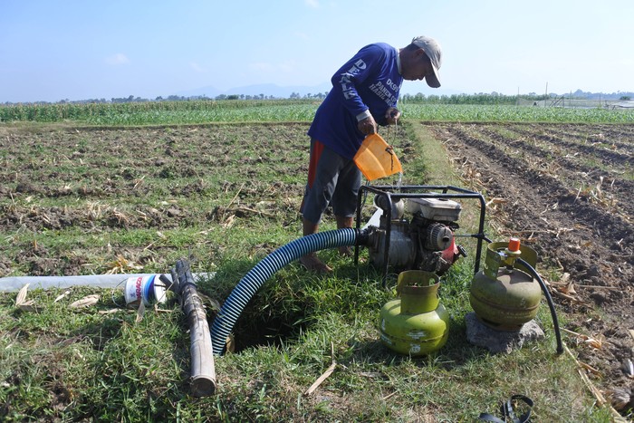 MODIFIKASI MESIN POMPA AIR MENGGUNAKAN GAS LPG Seorang petani mengairi lahan pertanian menggunakan mesin pompa air berbahan bahan bakar gas LPG di Desa Sabrang, Ambulu, Jember, Jawa Timur, Senin (29/8/2022). Petani setempat memilih mesin pompa air modifikasi berbahan LPG karena dinilai lebih irit dibandingkan memakai bahan bakar minyak, yaitu dua tabung gas LPG 3 kg dapat mengairi seperempat hektar lahan pertanian sedangkan bila menggunakan pertalite atau solar membutuhkan sebanyak 10 liter. ANTARA FOTO/Seno/rwa.