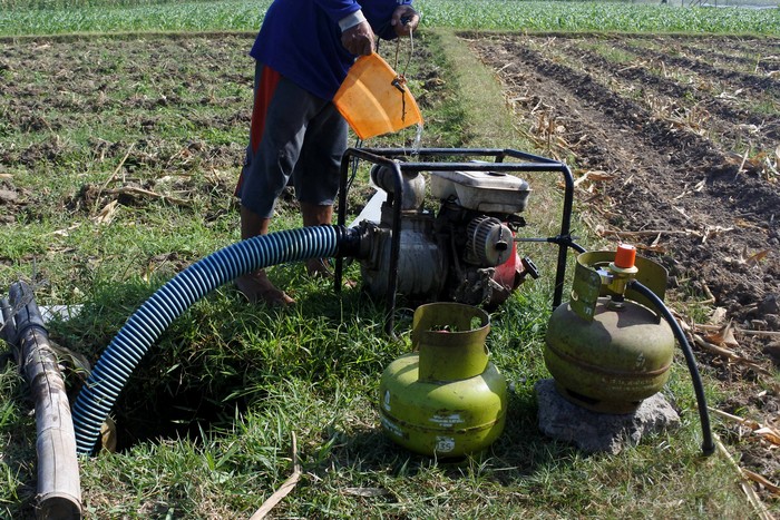 MODIFIKASI MESIN POMPA AIR MENGGUNAKAN GAS LPG Seorang petani mengairi lahan pertanian menggunakan mesin pompa air berbahan bahan bakar gas LPG di Desa Sabrang, Ambulu, Jember, Jawa Timur, Senin (29/8/2022). Petani setempat memilih mesin pompa air modifikasi berbahan LPG karena dinilai lebih irit dibandingkan memakai bahan bakar minyak, yaitu dua tabung gas LPG 3 kg dapat mengairi seperempat hektar lahan pertanian sedangkan bila menggunakan pertalite atau solar membutuhkan sebanyak 10 liter. ANTARA FOTO/Seno/rwa.