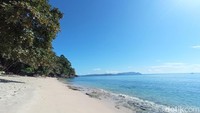 Pasir pantainya putih, halus dan sangat indah. Dari bibir pantai, terlihat air laut yang sebening kaca. (bonauli/detikcom)
