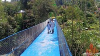 Para pelajar melintasi jembatan gantung reyot di Toraja yang telah rampung diperbaiki. Jembatan ini merupakan akses tercepat pelajar ke sekolah.(Foto: Rachmat Ariadi/detikSulsel)