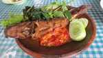 Pedas Mantap! 20 Pecel Lele & Ayam Rp 20 Ribuan Ada di Sini