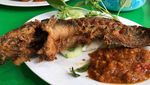 Pedas Mantap! 20 Pecel Lele & Ayam Rp 20 Ribuan Ada di Sini