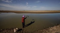 Kini, para warga dengan mudah menangkap ikan menggunakan keramba di sebuah genangan yang tersisa di danau.