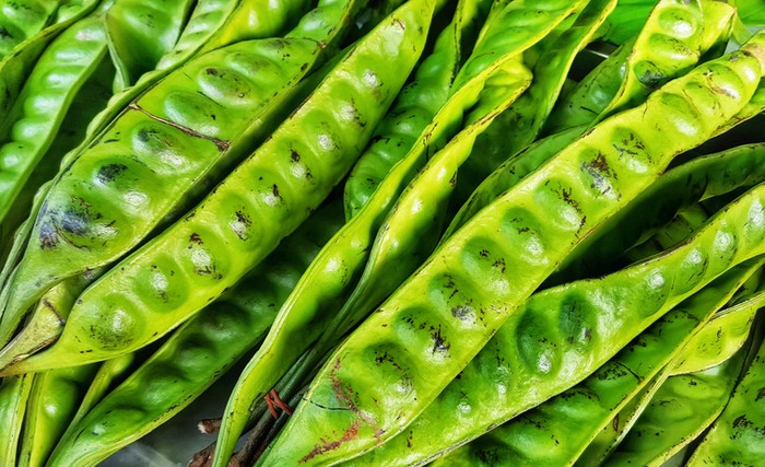 Petai dan jengkol