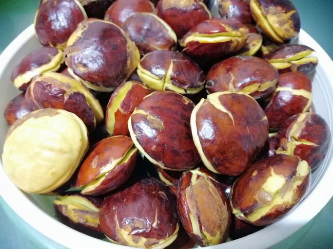 Petai dan jengkol