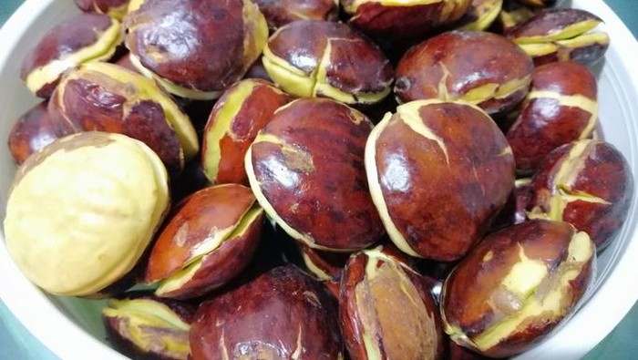Petai dan jengkol