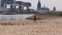 Seorang pria berjalan di tepi sungai Rhine pada ketinggian air yang rendah di Cologne, Jerman, Senin, (15/8/2022). Sungai Rhine merupakan salah satu jalur air utama bagi kapal-kapal industri. Kekeringan yang melanda Sungai Rhine juga mengancam industri di Jerman. (Thilo Schmuelgen/Reuters)