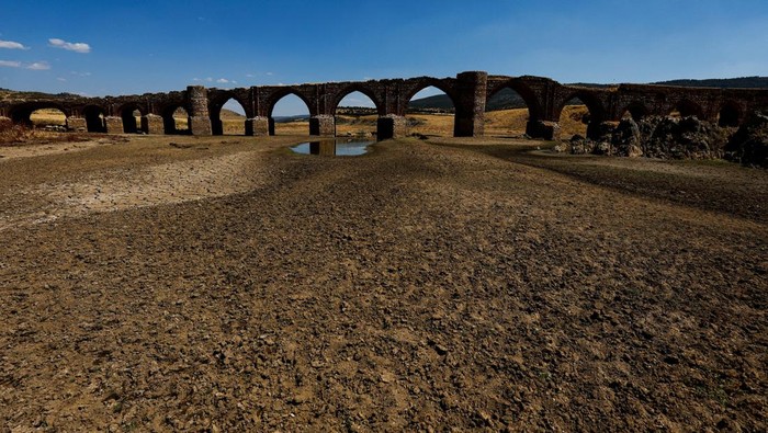 Potret Muram Kekeringan yang Melanda Sungai-sungai di Dunia A sheep drinks water from the dried bed of the Guadiana river during a severe drought in the Cijara reservoir, in Villarta de los Montes, Spain, August 6, 2022. A prolonged dry spell and extreme heat that made last July the hottest month in Spain since at least 1961, have left Spanish reservoirs at just 40% of capacity on average in early August, well below the ten-year average of around 60%, official data shows.REUTERS/Susana Vera