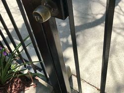 Sistem Keamanan yang Malah Bikin Ngakak