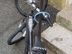 Sistem Keamanan yang Malah Bikin Ngakak