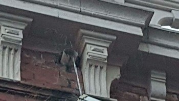 CCTV tahan air. Foto: Boredpanda