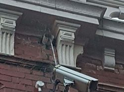 Sistem Keamanan yang Malah Bikin Ngakak