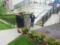 Sistem Keamanan yang Malah Bikin Ngakak