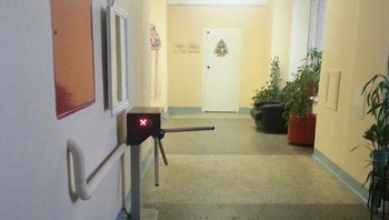 Posisi gatenya pas banget ya... Foto: Boredpanda