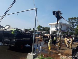 Pembukaan Pasar Hewan Jelok, Belasan Kendaraan Dipulangkan - 2 Sapi Suhu Tinggi