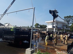 Pembukaan Pasar Hewan Jelok, Belasan Kendaraan Dipulangkan - 2 Sapi Suhu Tinggi