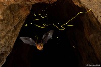 Australian Geographic Nature Photographer of the Year 2022