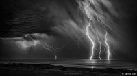 Australian Geographic Nature Photographer of the Year 2022