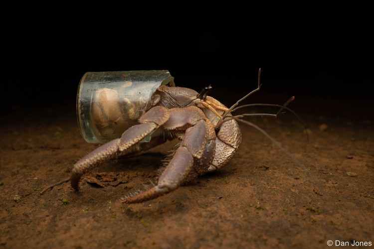 Australian Geographic Nature Photographer of the Year 2022