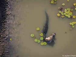 Karya Memukau Jawara & Finalis Kontes Foto Alam, Ada Lokasi di Indonesia