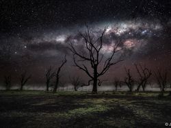 Karya Memukau Jawara & Finalis Kontes Foto Alam, Ada Lokasi di Indonesia