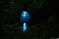 Australian Geographic Nature Photographer of the Year 2022