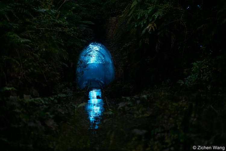 Australian Geographic Nature Photographer of the Year 2022