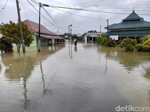 50 Persen Daerah di Provinsi Bengkulu Terendam Banjir, Ini Dampaknya