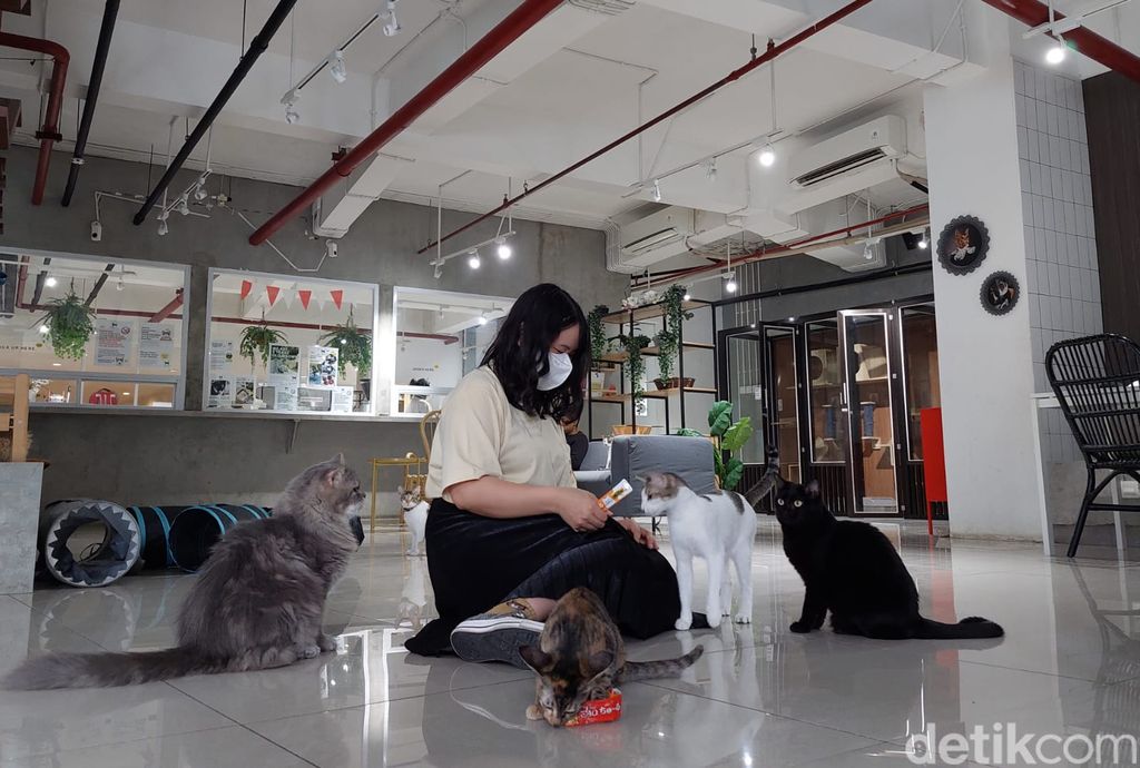 Calicoffice di Tangerang Selatan