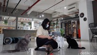 Nama kafe ini adalah Calicoffice, loaskinya ada di jawasan TreePark Apartment, BSD City, Tangerang Selatan.
