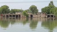 Salah satu titik paling parah yang terkena banjir. Mirip danau. Pakistan berada di urutan kedelapan dalam Indeks Risiko Iklim Global, daftar yang disusun LSM lingkungan Germanwatch dengan memasukkan negara-negara yang dianggap paling rentan terhadap cuaca ekstrem yang dipicu perubahan iklim. Shahid Saeed Mirza/AFP/Getty Images