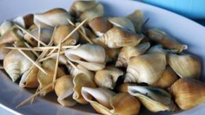 Siput gong-gong jadi kuliner khas Kepulauan Riau.