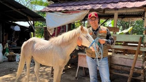 Gubernur Nusa Tenggara Barat Zulkieflimansyah.