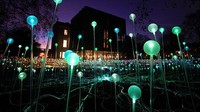 Museum Holbourne di Inggris sempat membuat instlasi lampu kaca warna-warni bertajuk Field of Light. Instalasi ini terdiri dari 5.000 bola lampu. Momen ini digelar pada 23 November 2011 lalu.